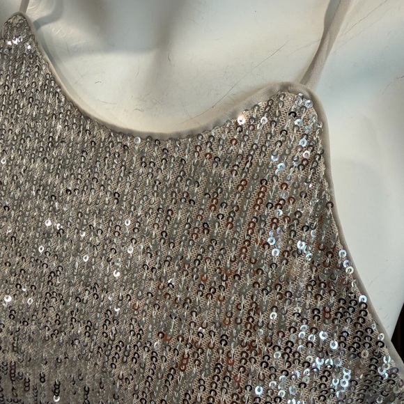 Banana Republic Silver Sequin Halter Top - Picture 9 of 9